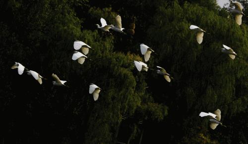 成都100种美景图片,航拍中国成都十大风景区