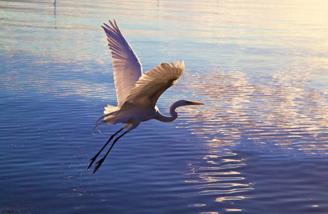 成都100种美景图片,航拍中国成都十大风景区