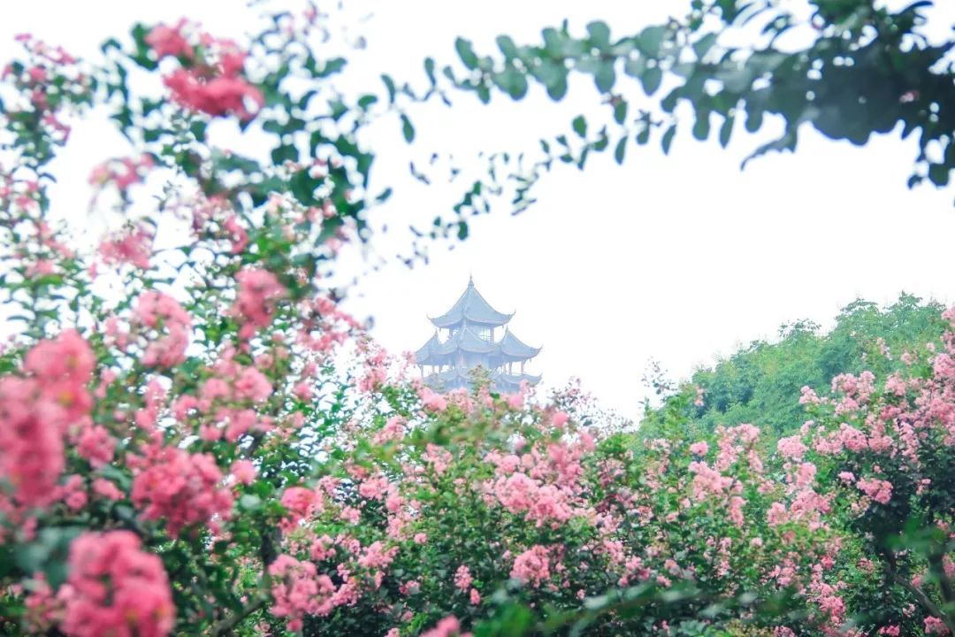 成都100种美景图片,航拍中国成都十大风景区