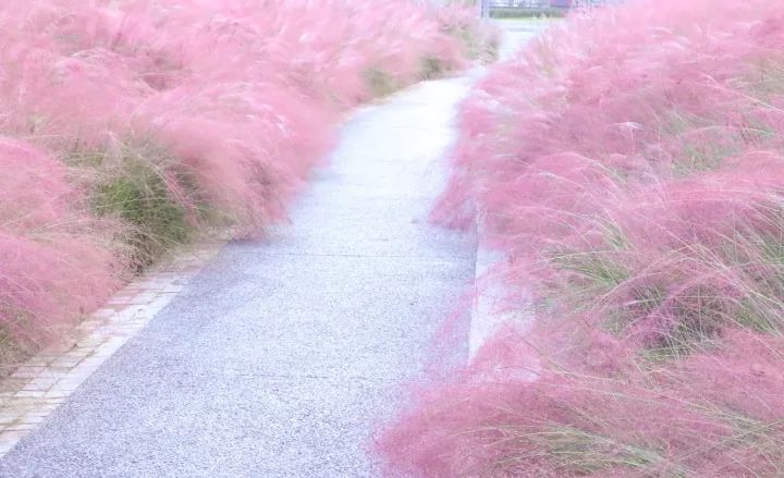 成都100种美景图片,航拍中国成都十大风景区