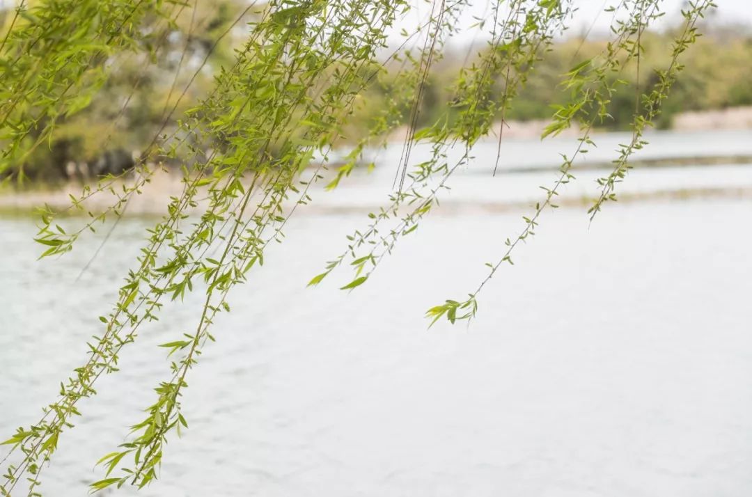 成都100种美景图片,航拍中国成都十大风景区