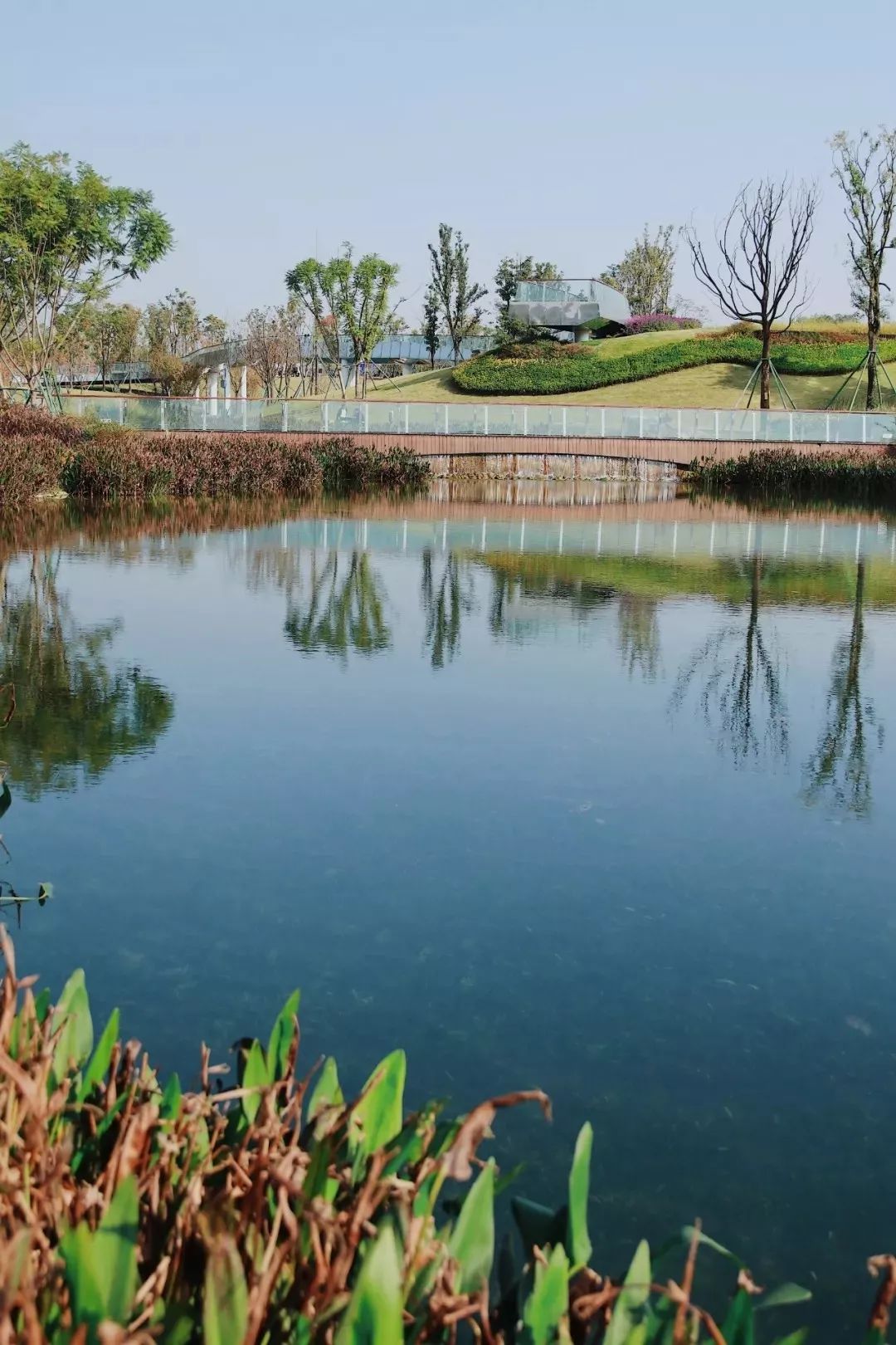 成都100种美景图片,航拍中国成都十大风景区