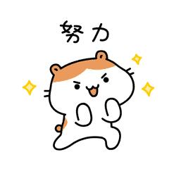 2020肇庆市雅居乐杯足球赛,肇庆甲级足球联赛