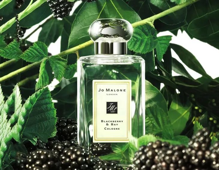 闻过就无法忘记的香水,闻过就忘不掉的香水盘点