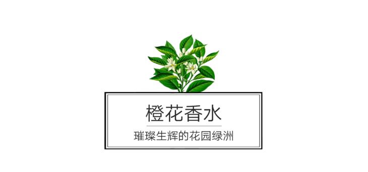 闻过就无法忘记的香水,闻过就忘不掉的香水盘点