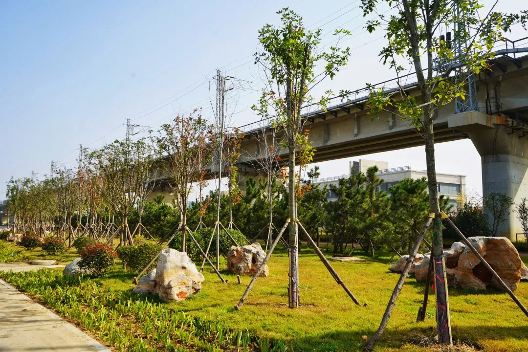 描绘乡村美丽新画卷,描绘中国美丽新画卷