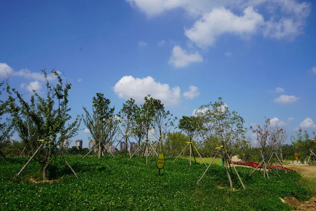 描绘乡村美丽新画卷,描绘中国美丽新画卷