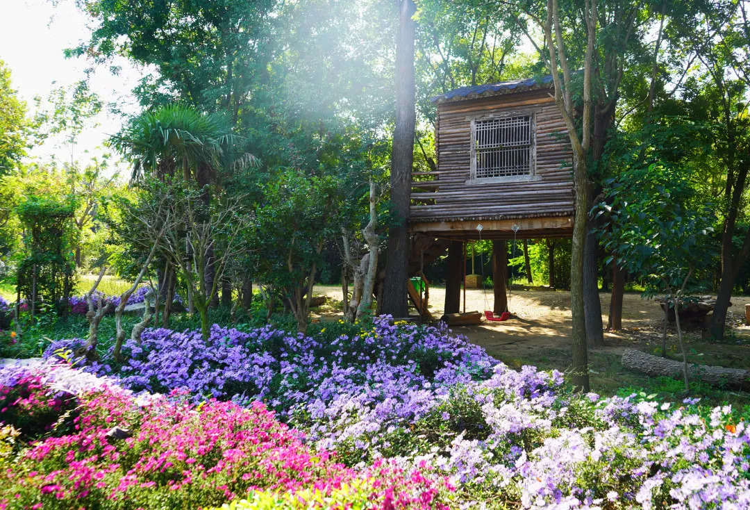 描绘乡村美丽新画卷,描绘中国美丽新画卷