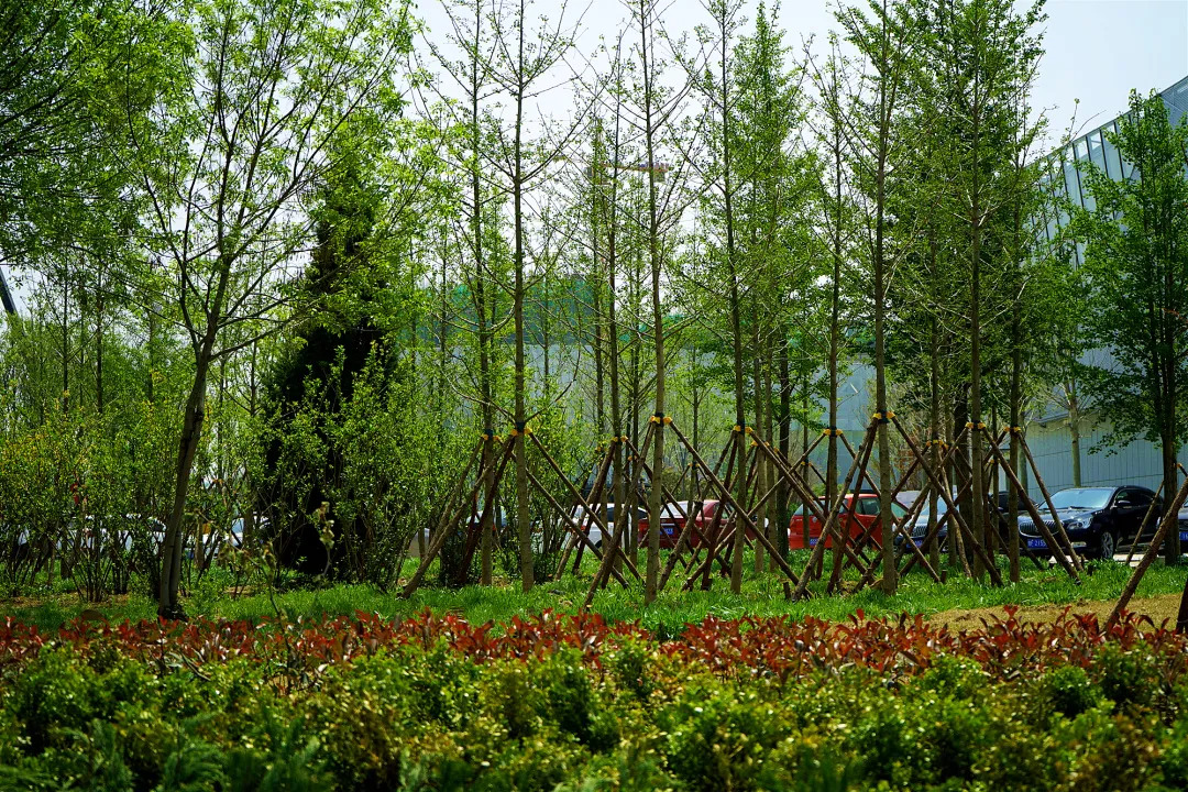 描绘乡村美丽新画卷,描绘中国美丽新画卷