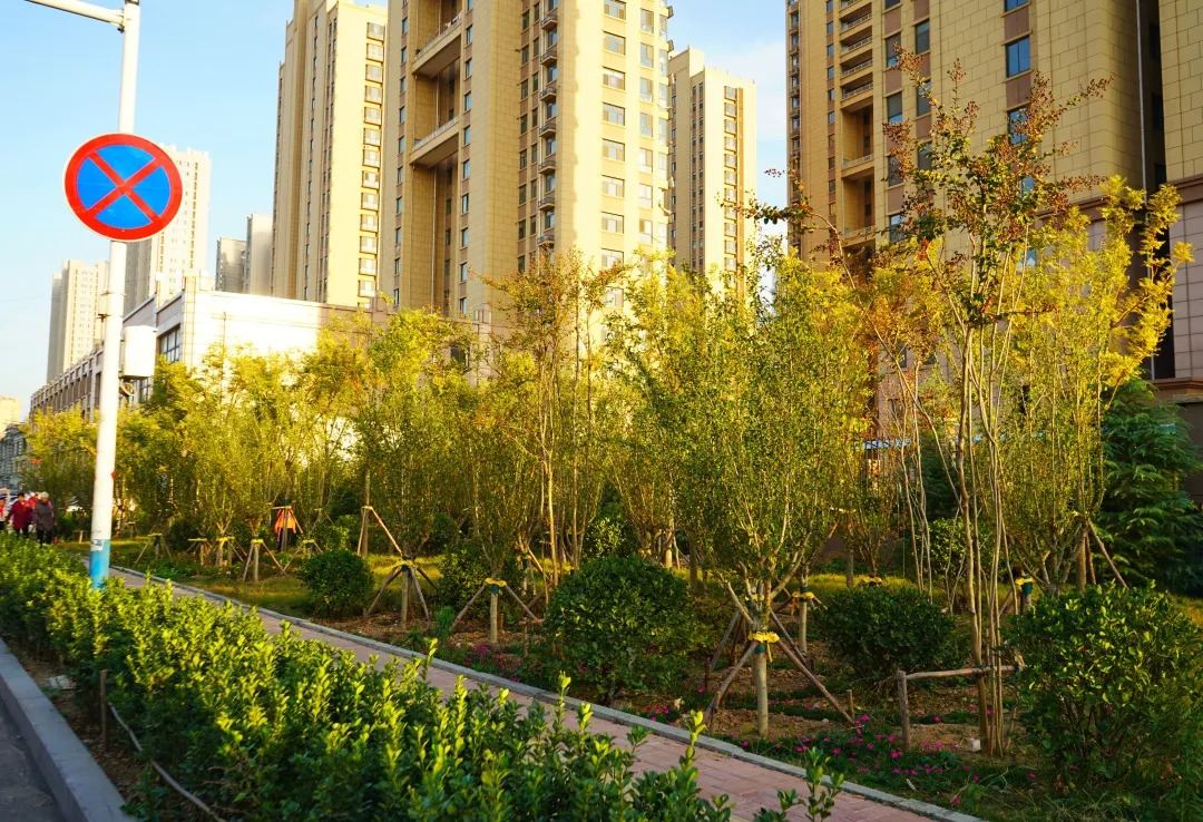 描绘乡村美丽新画卷,描绘中国美丽新画卷