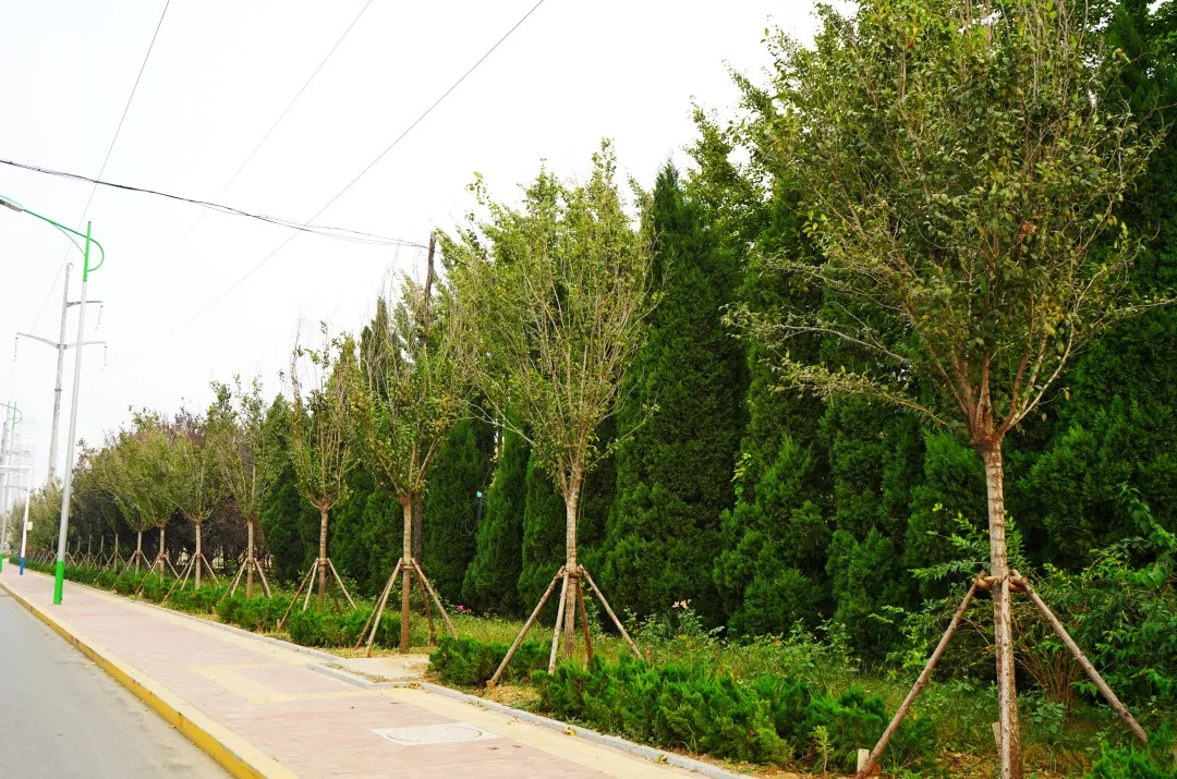 描绘乡村美丽新画卷,描绘中国美丽新画卷