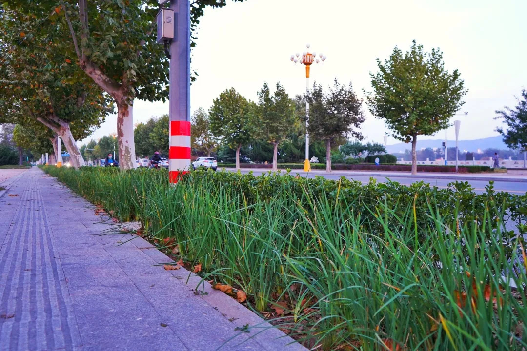 描绘乡村美丽新画卷,描绘中国美丽新画卷