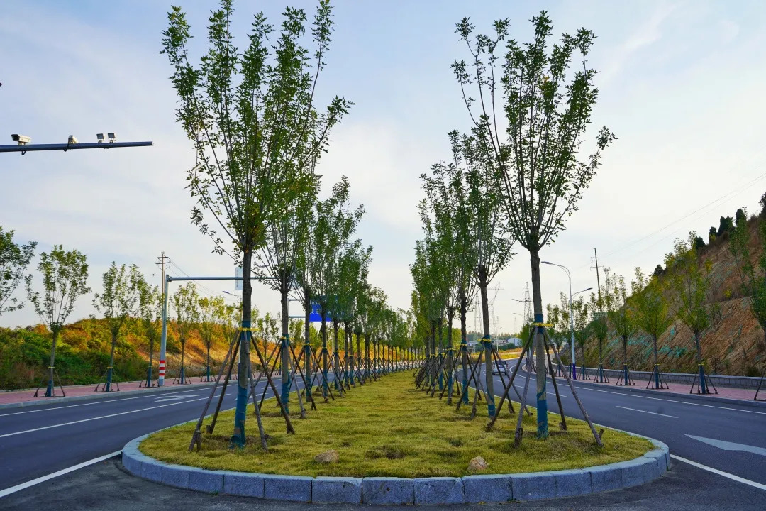 描绘乡村美丽新画卷,描绘中国美丽新画卷