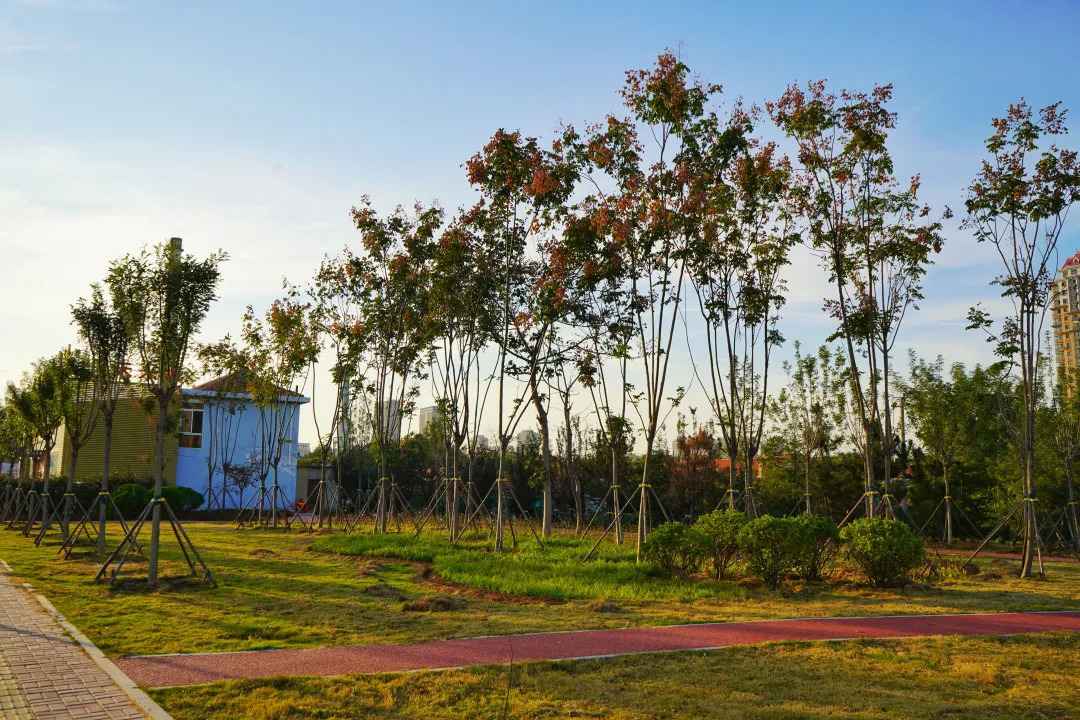 描绘乡村美丽新画卷,描绘中国美丽新画卷