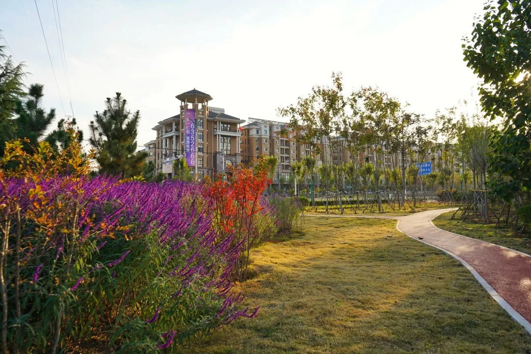 描绘乡村美丽新画卷,描绘中国美丽新画卷