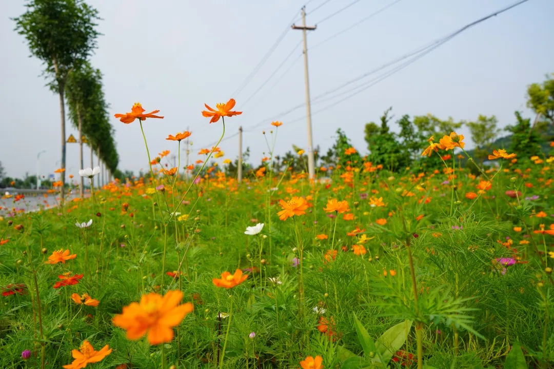 描绘乡村美丽新画卷,描绘中国美丽新画卷