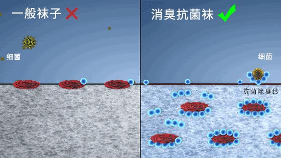 航空防臭袜子,美联航厚袜子