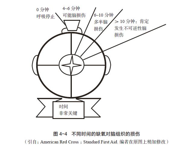缺氧对器官的影响,缺氧对肾的影响