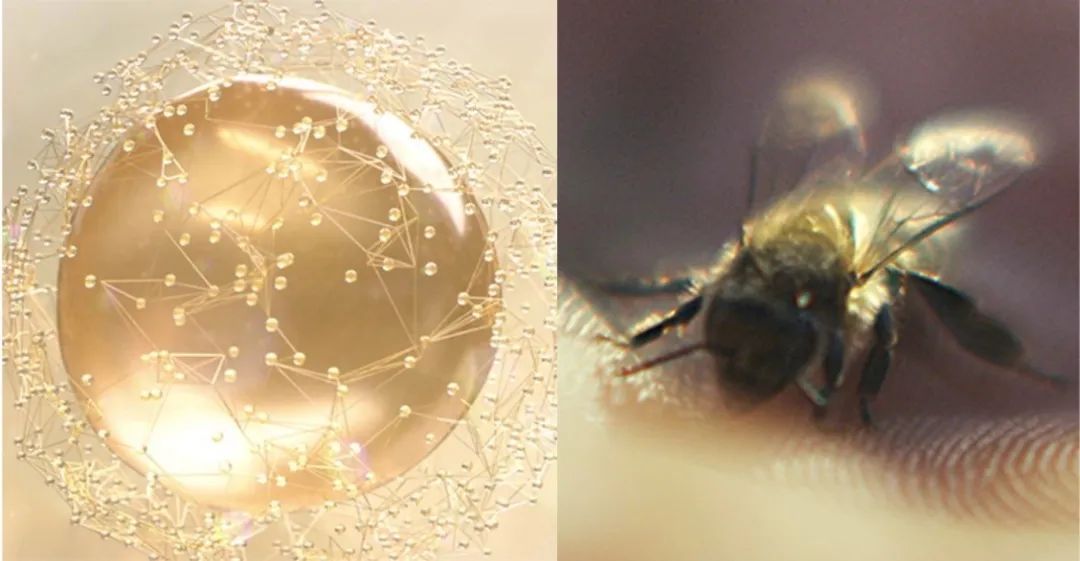 错在哪里？明星同款粉底画出来都是路人脸？