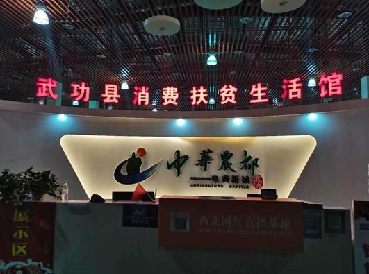 武功县发展特色产业,武功县什么产业好