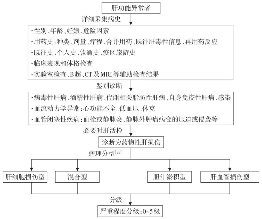 药物性肝损伤诊疗指南2023,药物性肝损伤治愈后跟正常一样吗