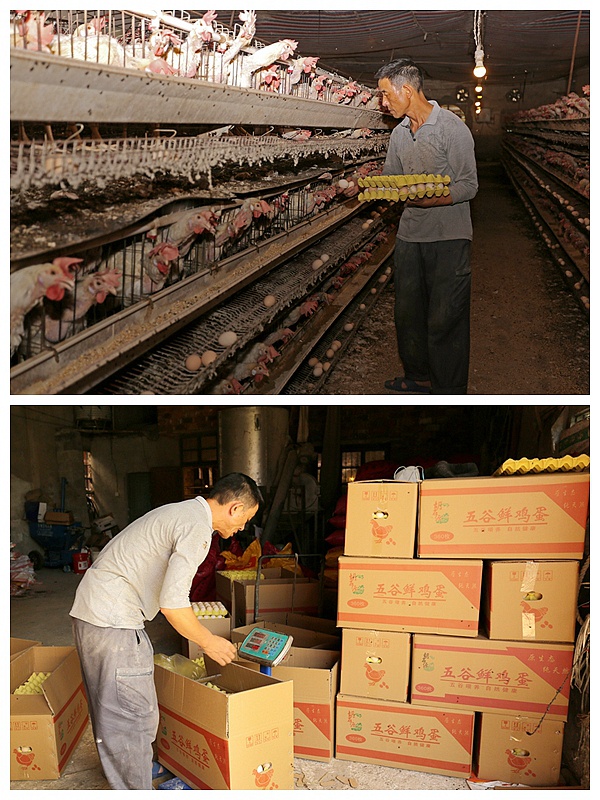 「清风镜头」国家扶贫日