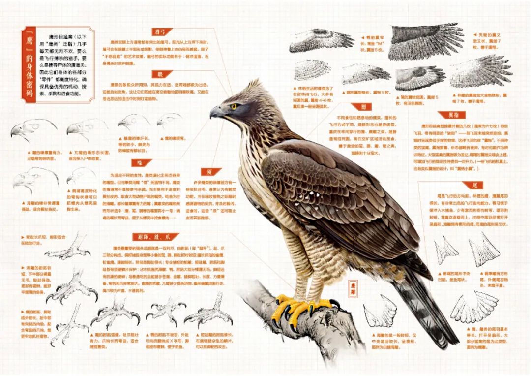 我们的中国地理绘本,恩施中国国家地理