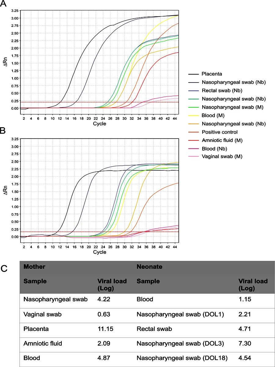 新冠病毒可通过母婴垂直传播吗？