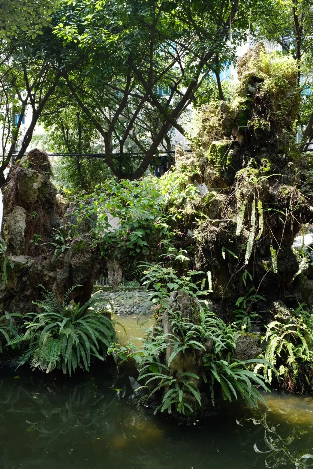 玉林市城区地图,带地图去旅行