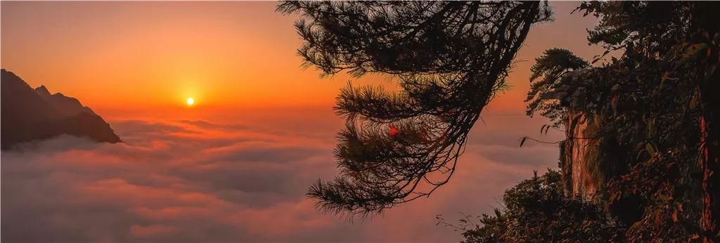 斜阳余晖全部视频,斜阳余晖下