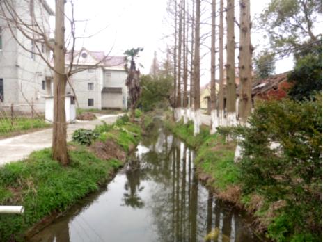 施勋杭州,施勋简历