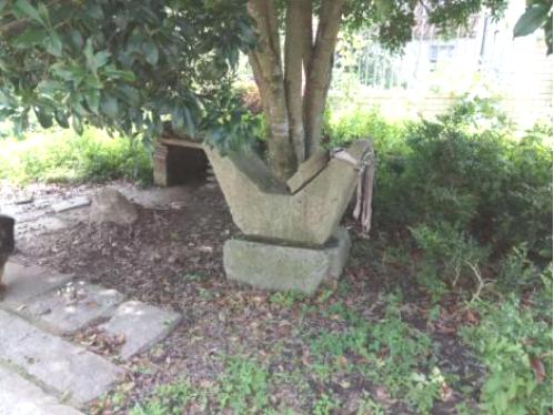 施勋杭州,施勋简历