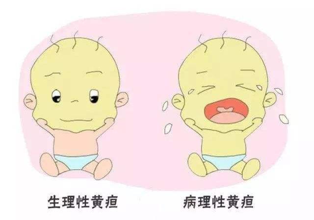 宝宝眼睛发黄能打疫苗吗,新生婴儿脸色发红是黄疸高吗
