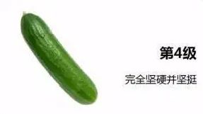 【世界男性健康日】那儿硬不起来?CDFI超声检查助你一探究竟……