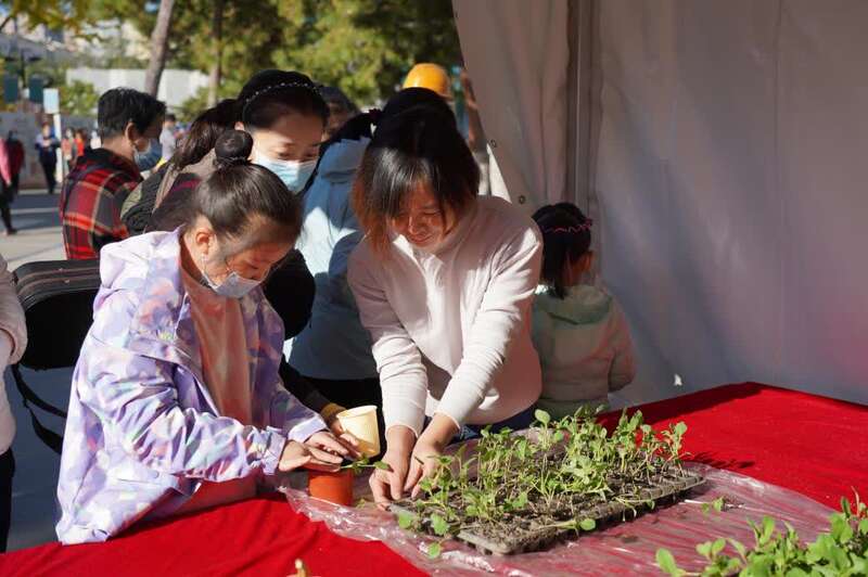 传承农耕文化感悟劳动之美,传承农耕文化感受劳动之美