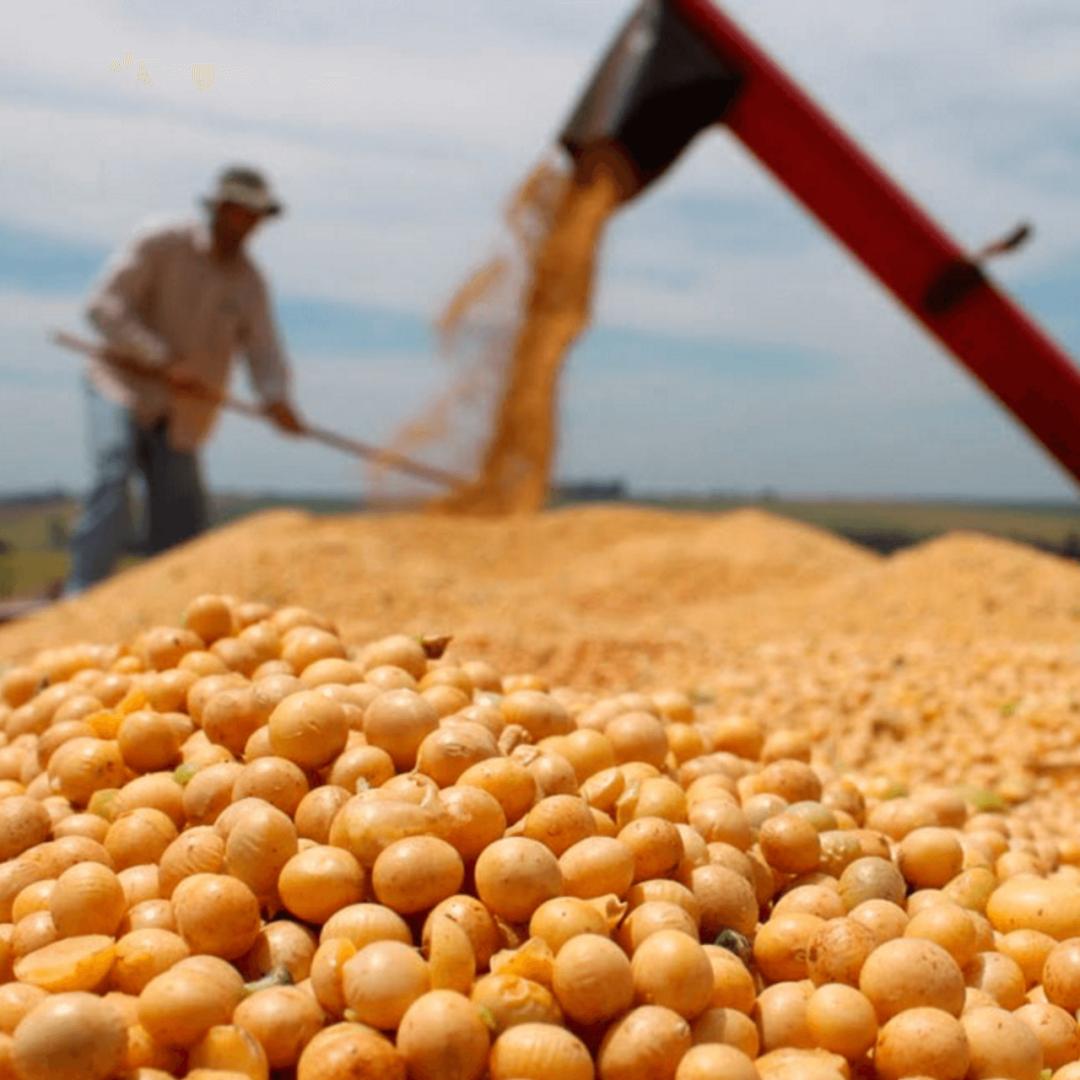 乌拉圭紫水晶手链的作用与功效,乌拉圭紫水晶功效寓意