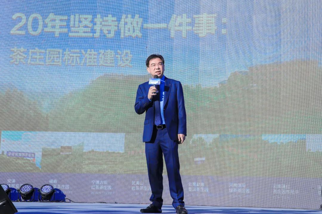 国茶华祥苑茗茶,华祥苑2024新茶品鉴