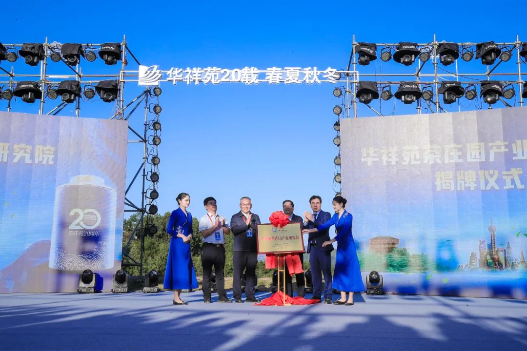 国茶华祥苑茗茶,华祥苑2024新茶品鉴