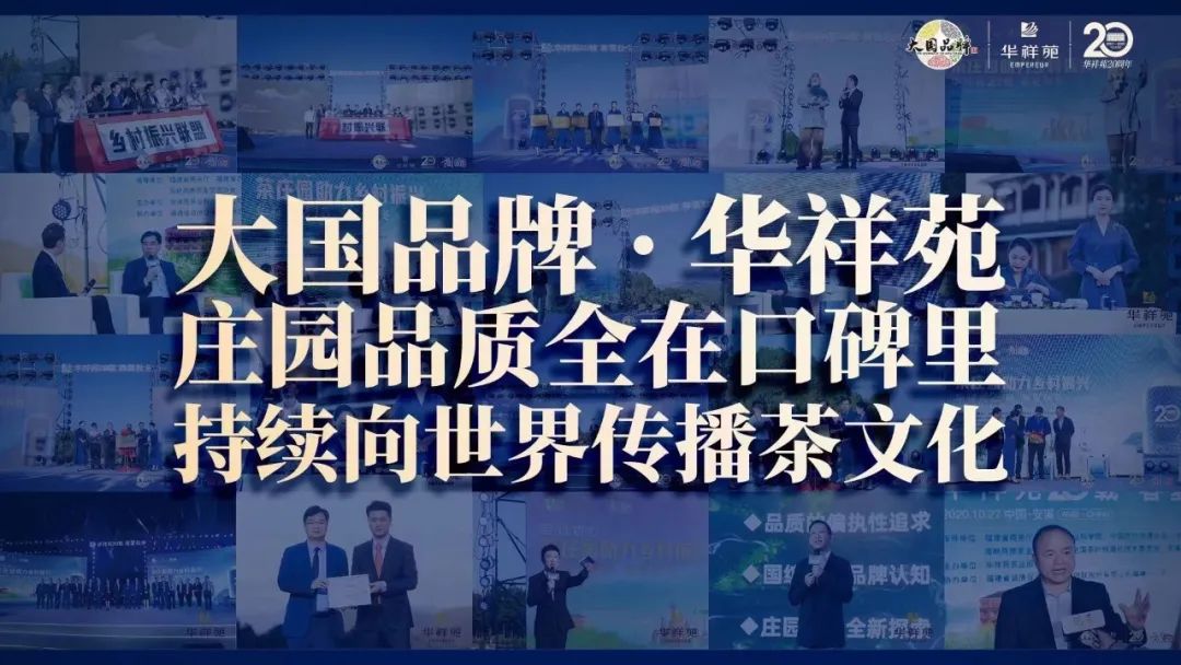 国茶华祥苑茗茶,华祥苑2024新茶品鉴