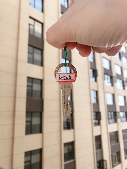 为什么天猫双11送房,天猫双11送房子