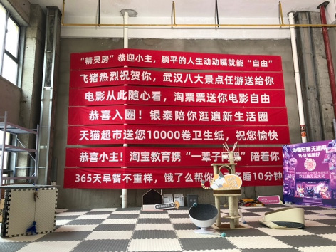 为什么天猫双11送房,天猫双11送房子