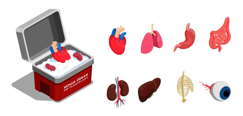 发胖症状明显如何调整,发胖的原因和解决方法