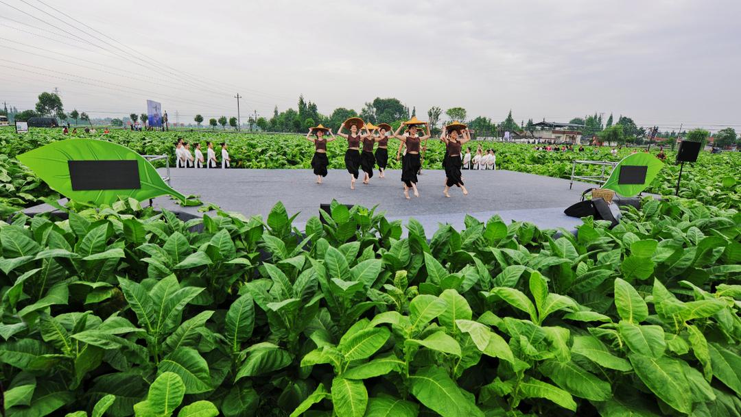 什邡雪茄之乡旅游景点,什邡为什么被称为中国雪茄之乡