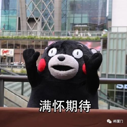 厦门航空偷拍事件后续处理,厦门一女子被偷拍