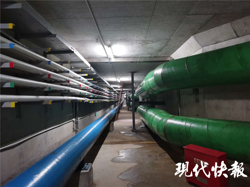 南京是一座充满烟火气的城市,南京烟火气