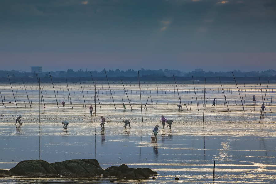 三娘湾景区11月起免费开放，你安排好行程了吗？