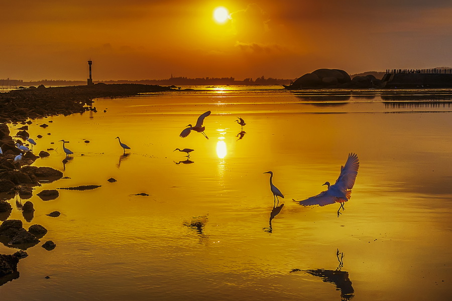 三娘湾景区11月起免费开放，你安排好行程了吗？