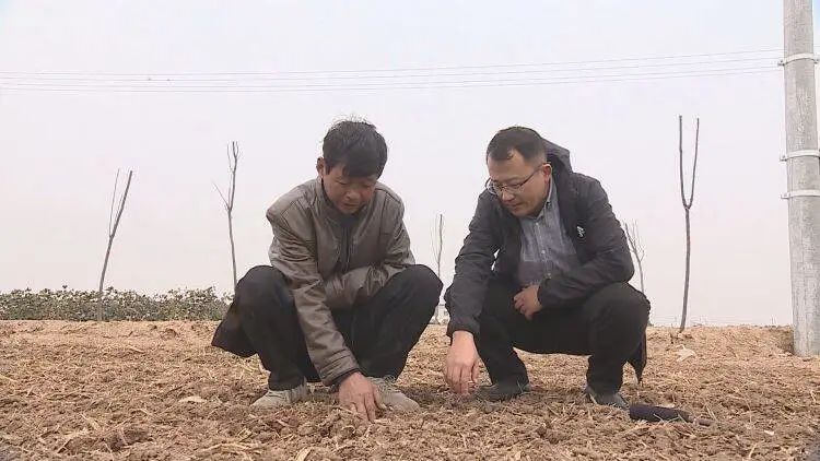 山东省成武县天宫镇翟楼村,天宫庙镇翟楼村