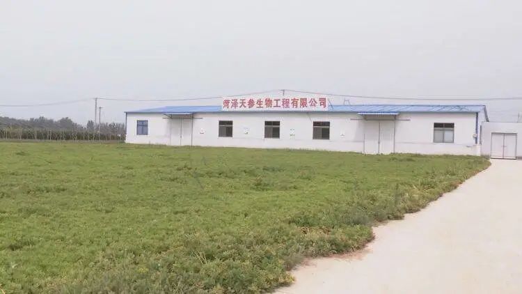 山东省成武县天宫镇翟楼村,天宫庙镇翟楼村