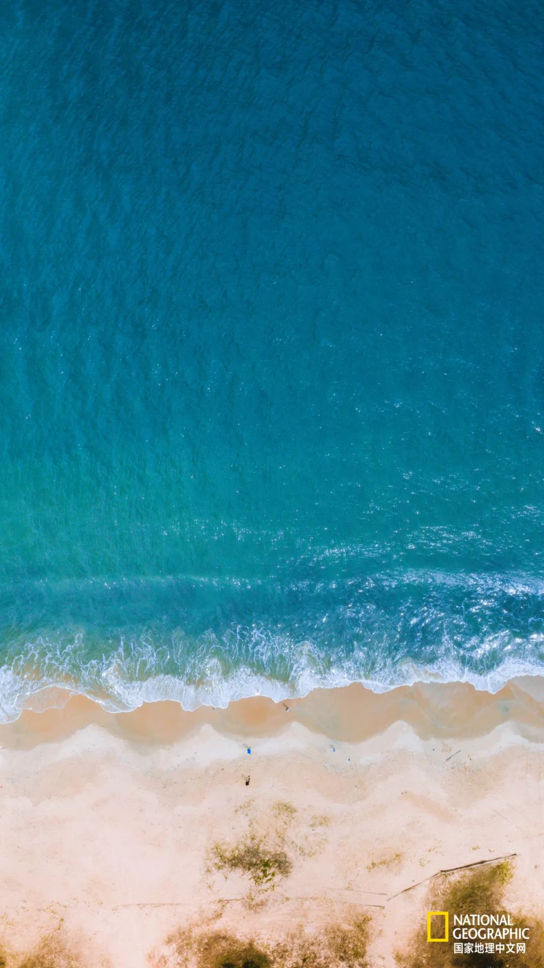 夸下海口造句子,夸下海口怎么幽默回答